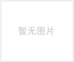 SkF进口轴承NU319ECM