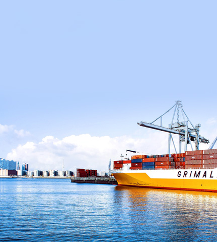 2025新澳门免费原料宝典