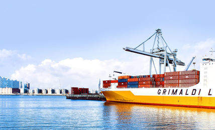 2025新澳门免费原料宝典