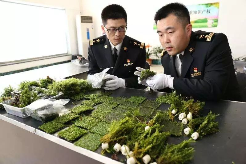 2025新澳门免费原料宝典