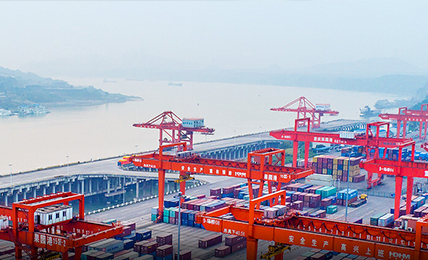 2025新澳门免费原料宝典