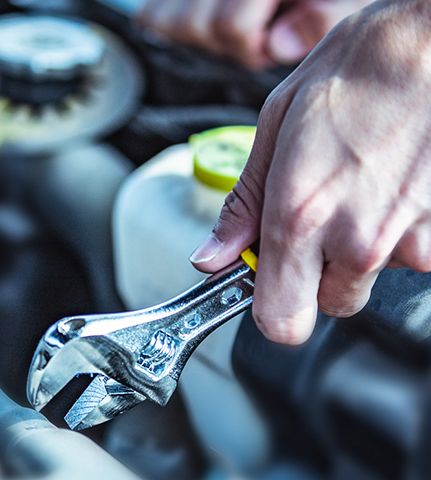 2025新澳门免费原料宝典