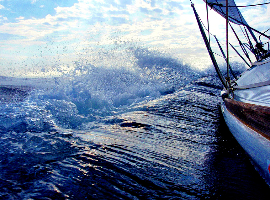 2025新澳门免费原料宝典