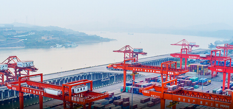 2025新澳门免费原料宝典