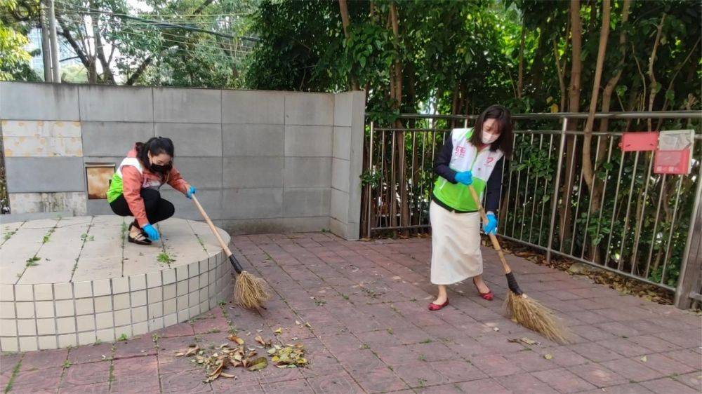 2025新澳门免费原料宝典